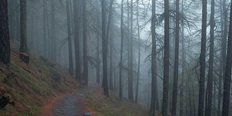 降本增效:现代企业物流运输成本控制的五大核心策略与优化路径